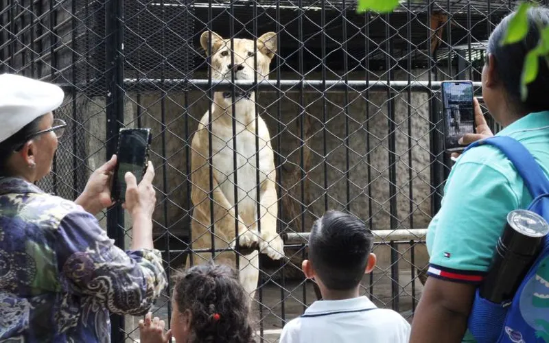 Familias aprovechan fin de semana en el Zoológico Nacional