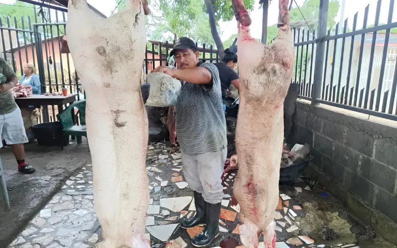 Carne porcina a junio 2026