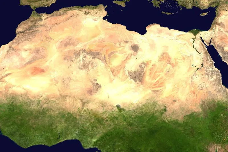 África quiere plantar 100 millones de árboles desde hace 19 años. Ahora su Muralla Verde en el Sáhara coge forma