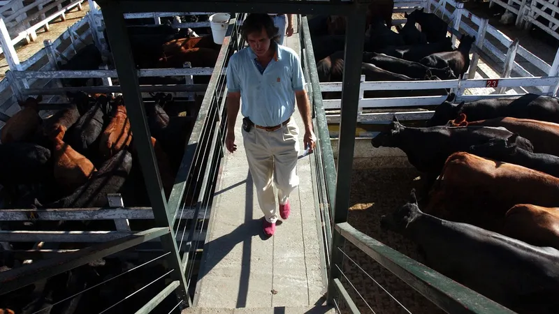 ¿Por qué Argentina cuadruplicó su exportación de carne ante el consumo interno más bajo en décadas?