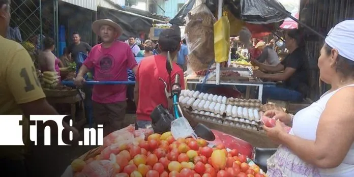 Canasta básica: Bajan precios en tomate, cebolla y queso seco esta semana