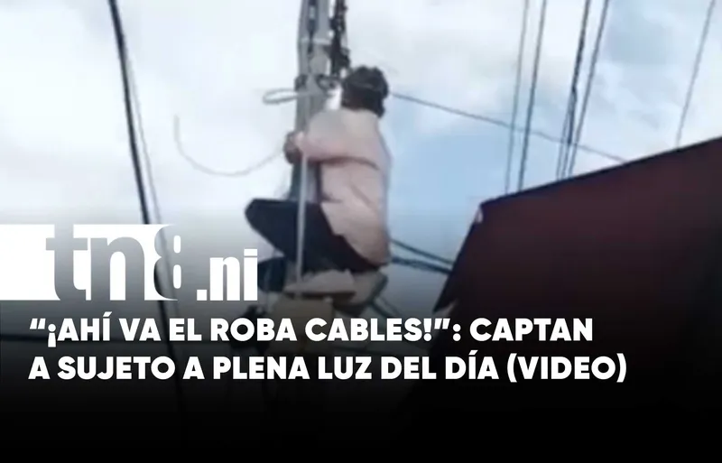 Descaro total: Captan a sujeto robando cables a plena luz del día en Managua