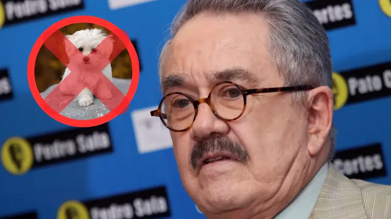 ¿Qué pasó con Pedro Sola? La historia completa de la polémica que sacudió a Ventaneando