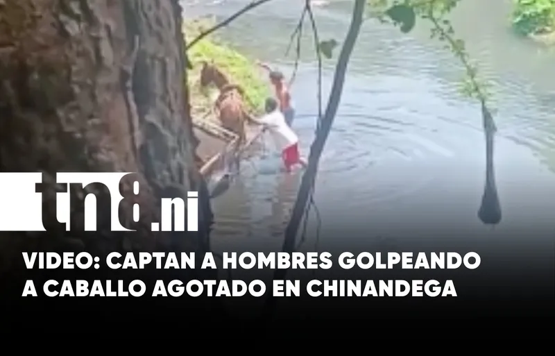 Captan a hombre golpeando a un caballo cargado de arena en Chinandega