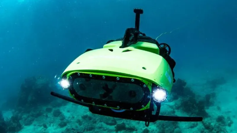 Australia creó un robot para matar una estrella de mar que devora la Gran Barrera. Meses después descubrió que podía usarlo para hacer exactamente lo contrario