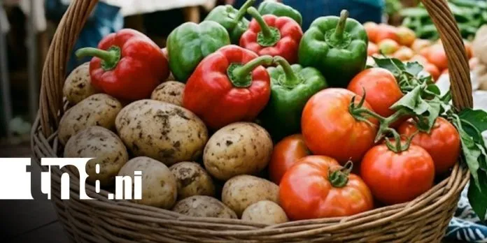 Nicaragua: Bajan de precio la posta de res, tomate, repollo, papas y chiltoma