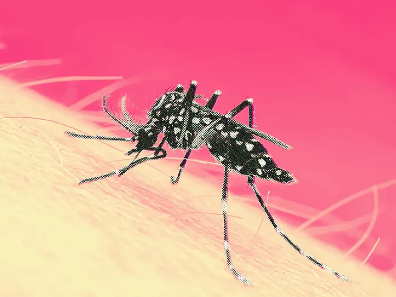 Situación epidemiológica al sábado 19 de septiembre 2026