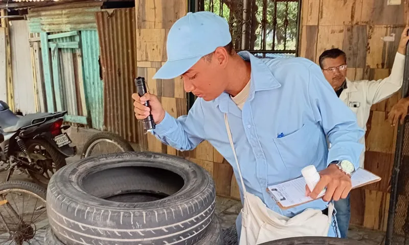 Disminuyen casos de dengue y chikungunya tras jornadas antiepidémicas