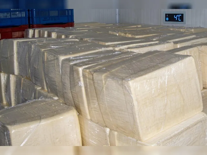 Producción de queso y cuajada en julio 2026