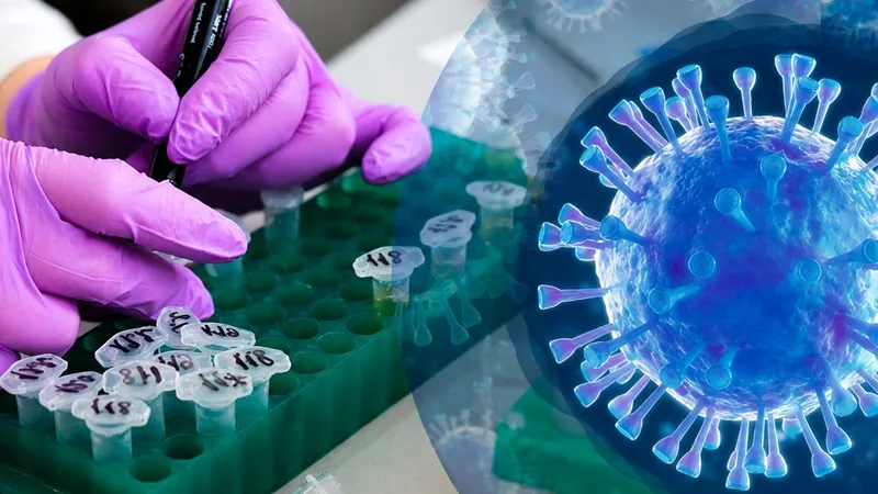EEUU financió investigaciones sobre coronavirus con fines pandémicos