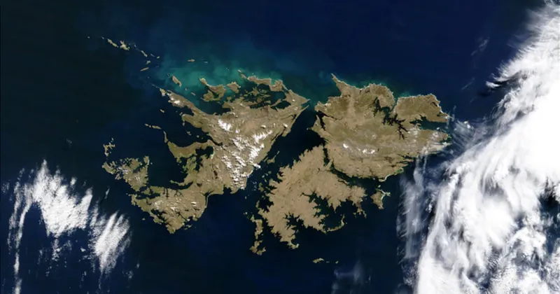 Milei vuelve a reclamar las Malvinas y Reino Unido responde: “Son británicas y seguirán siéndolo”