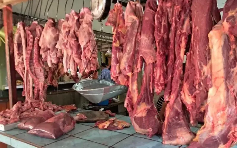 Producción nacional de carne bovina al mes de mayo 2026