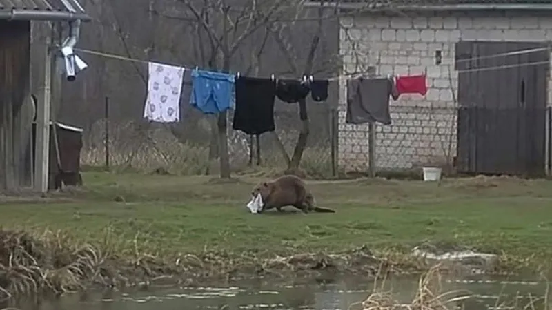 Alguien le robaba sus prendas íntimas, y queda atónito al pillar al ladrón 'in fraganti'