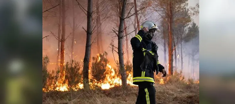 Bélgica enfrenta el mayor incendio forestal de su historia: 3.000 hectáreas en llamas