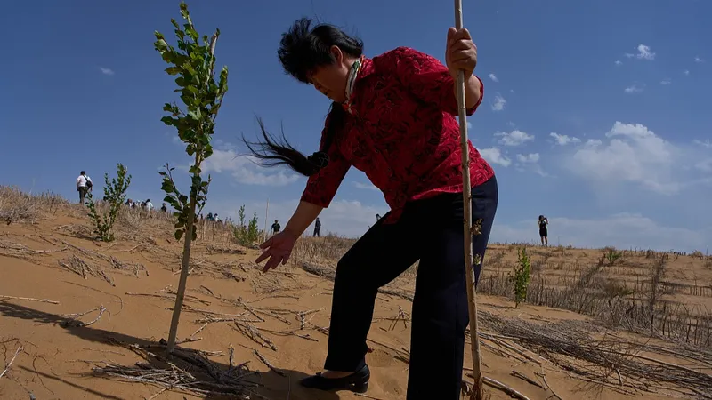La FAO reconoce las contribuciones a la agricultura y al desarrollo rural de tres mujeres chinas