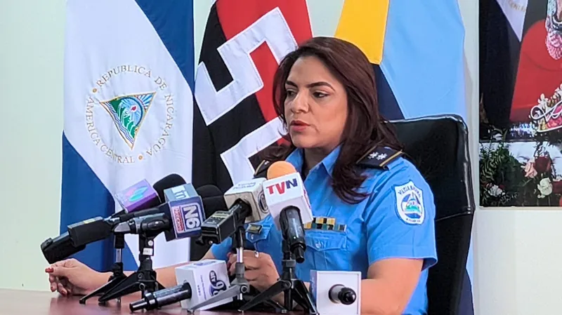 Más de 80 personas detenidas por diversos delitos en el país