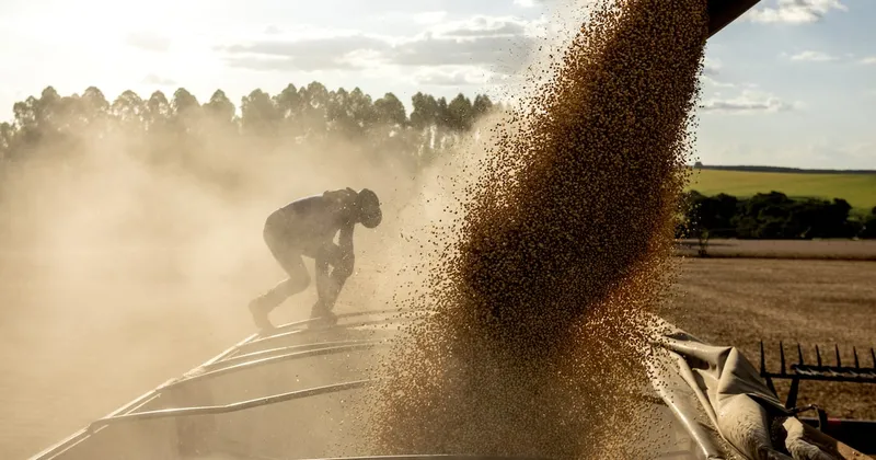 Milei anunció nueva baja de retenciones para el sector agroindustrial