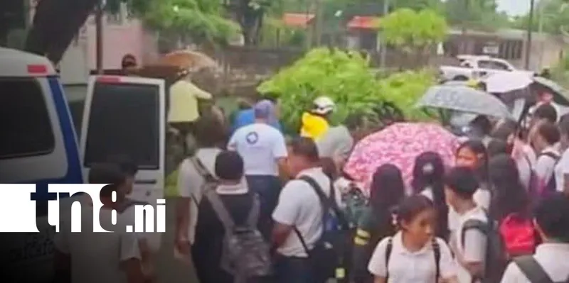 Madre e hijo se salvan de tragedia tras caída de árbol en Chichigalpa