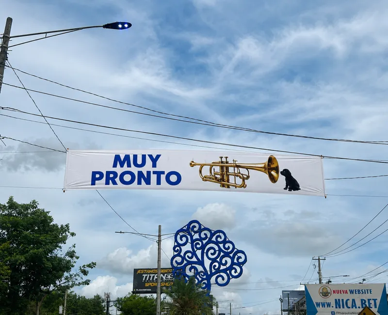 Se acabó el misterio del perrito y la trompeta de las mantas
