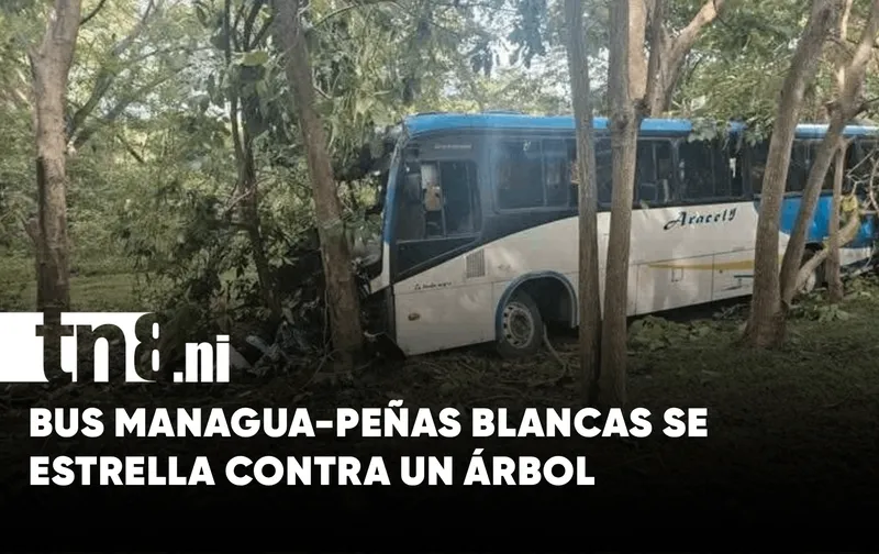 ¡Tremendo susto! Bus Managua – Peñas Blancas se estrella contra un árbol
