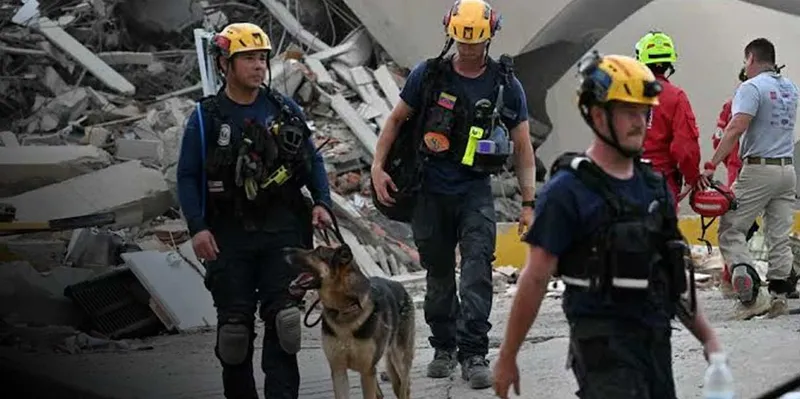 Su olfato desafió la tragedia: perros buscan sobrevivientes entre los escombros en Venezuela