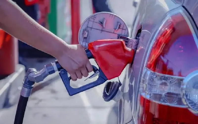 Precios de gasolinas, diésel y gas licuado se mantendrán estables la próxima semana