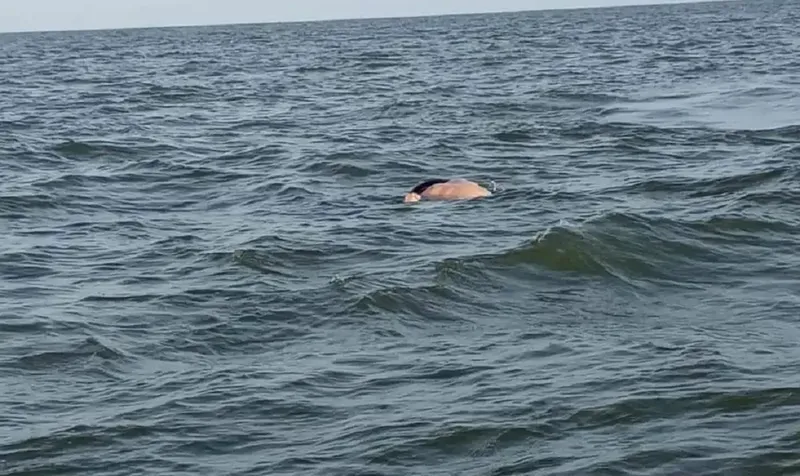 Hallan muerto a hombre ahogado en río de El Castillo, Río San Juan
