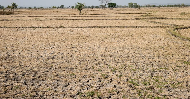 Gestores de fondos preparan sus carteras ante el impacto del “Súper Niño” en los mercados globales