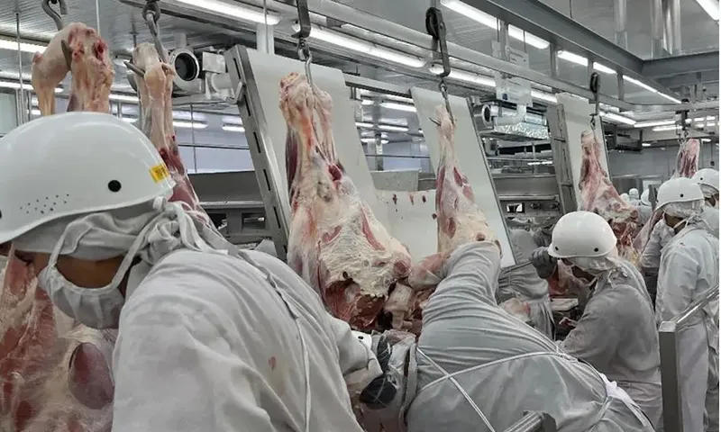 Exportaciones de Nicaragua alcanzan cifra récord de U$5,800 millones