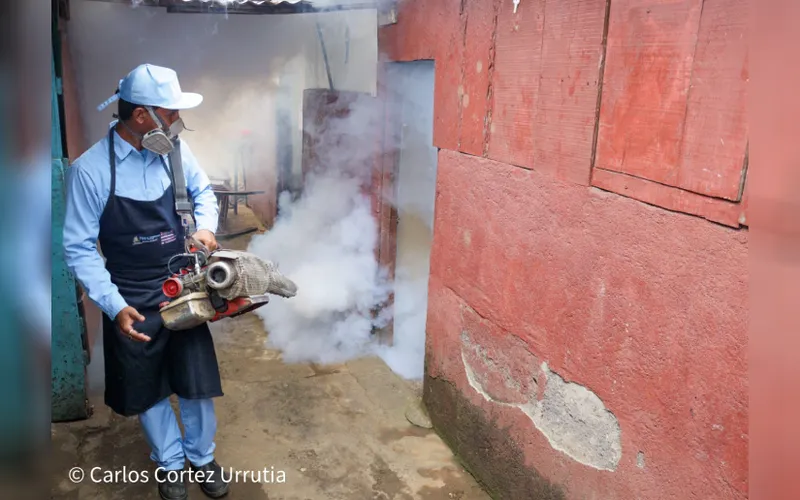 Acciones para prevenir enfermedades vectoriales se intensifican en invierno