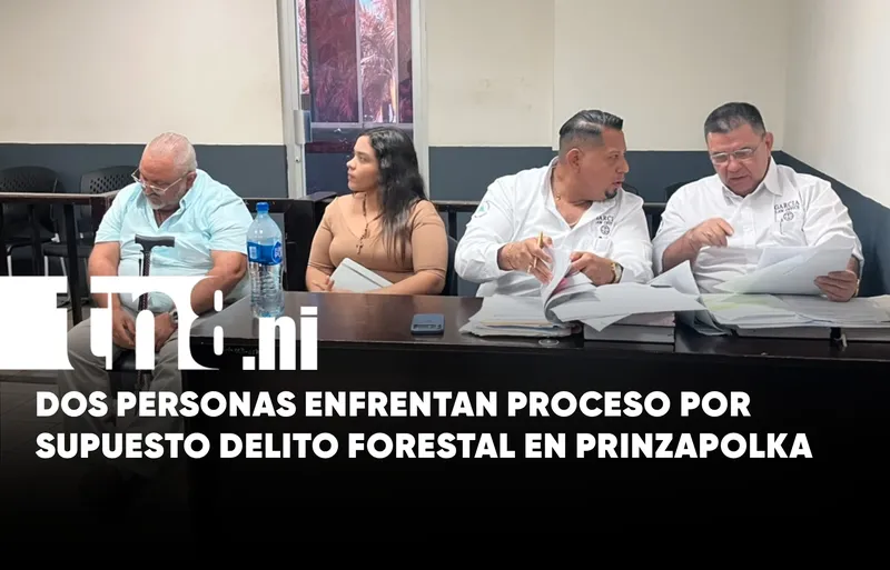 Caso forestal en Prinzapolka: dos acusados y dudas sobre la administración