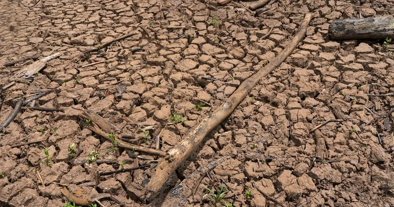 Temperaturas récord en el Pacífico elevan el riesgo de un fuerte fenómeno de El Niño