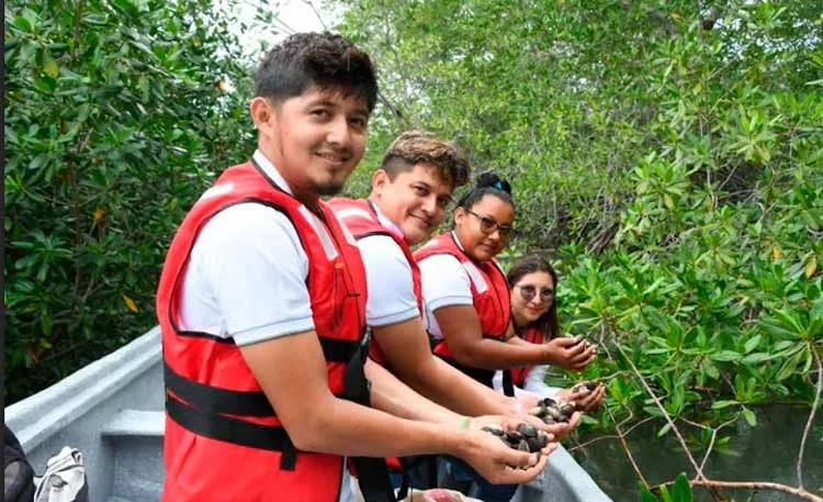 Con iniciativas ambientales gobierno promueve protección de bosques