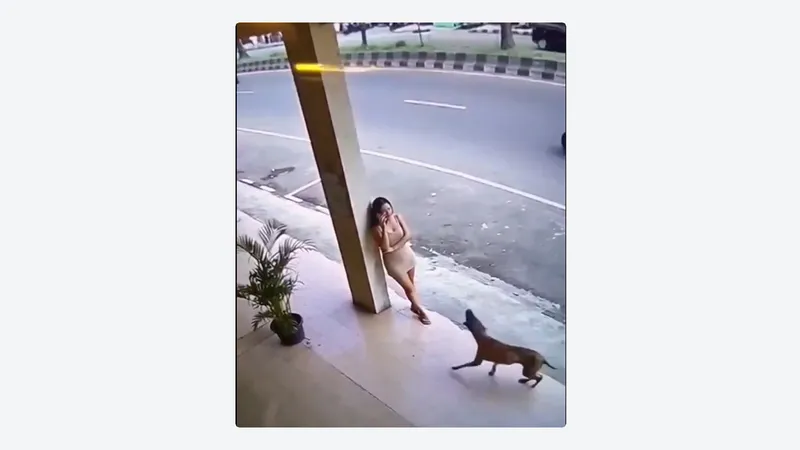 VIDEO: Perro alerta a joven segundos antes de una catástrofe