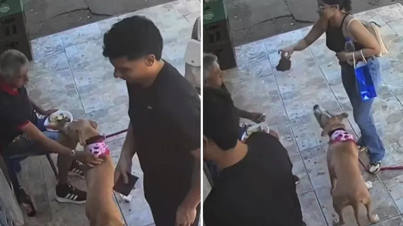 Un perro le roba el almuerzo a un hombre y la reacción de su dueña lo dejó sin palabras (VIDEO)