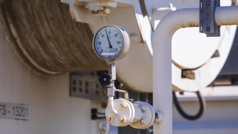 Al menos 6 países de la UE podrían sufrir una grave escasez de gas este invierno, según expertos