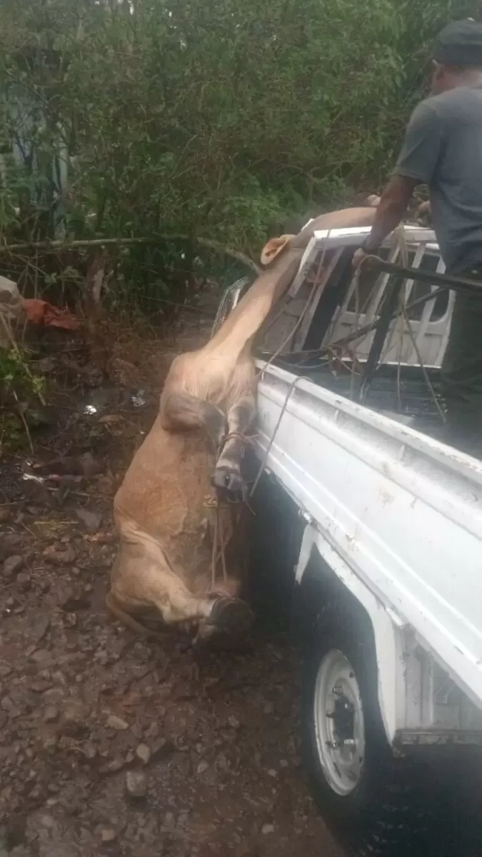 Un muerto y cuatro lesionados deja vuelco de camión en Jinotega
