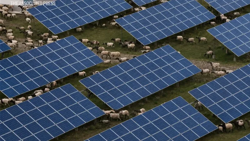 China cubrió una zona árida con millones de paneles solares y ocurrió algo inesperado: el terreno empezó a reverdecer