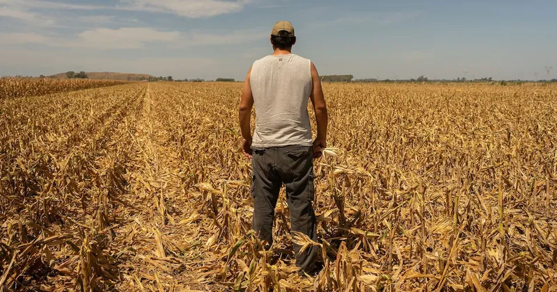 El Niño también impactará el empleo de Latinoamérica: OIT revela posibles trabajos y países más afectados