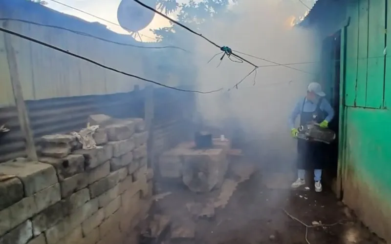 Brigadas médicas despliegan acciones contra el dengue en Candelaria, Carlos Reyna y Rubén Darío