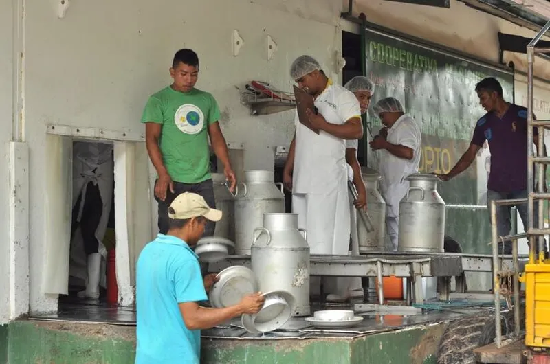 Nicaragua supera los 72 millones de galones de leche acopiados