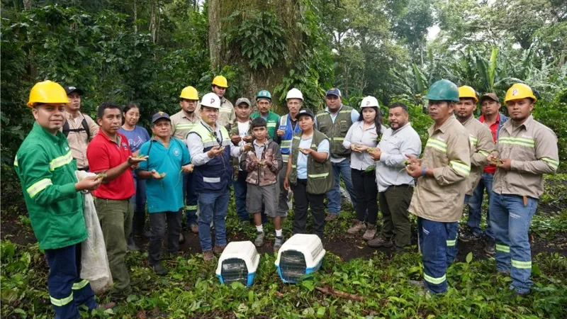 MARENA impulsa la conservación con la liberación de mil iguanas verdes