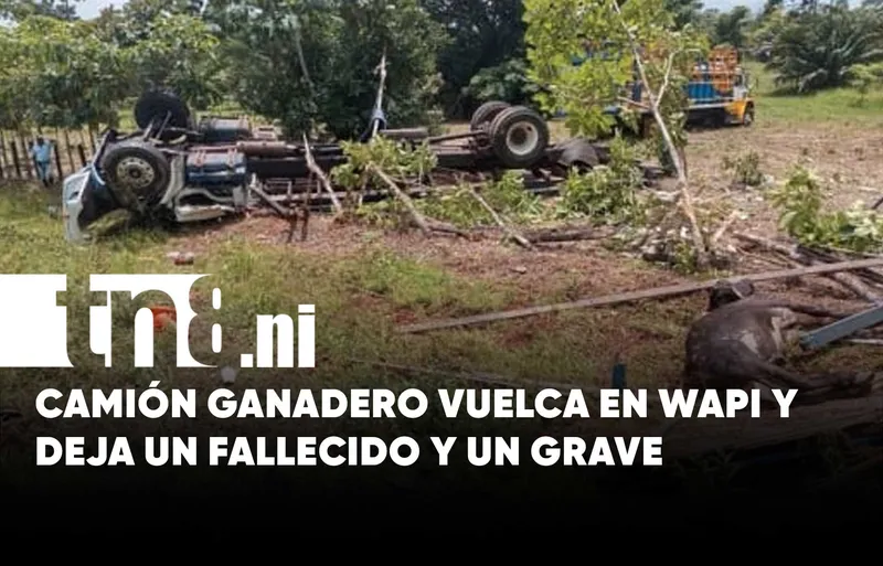 Accidente en Wapi deja un fallecido y un grave tras vuelco de camión ganadero