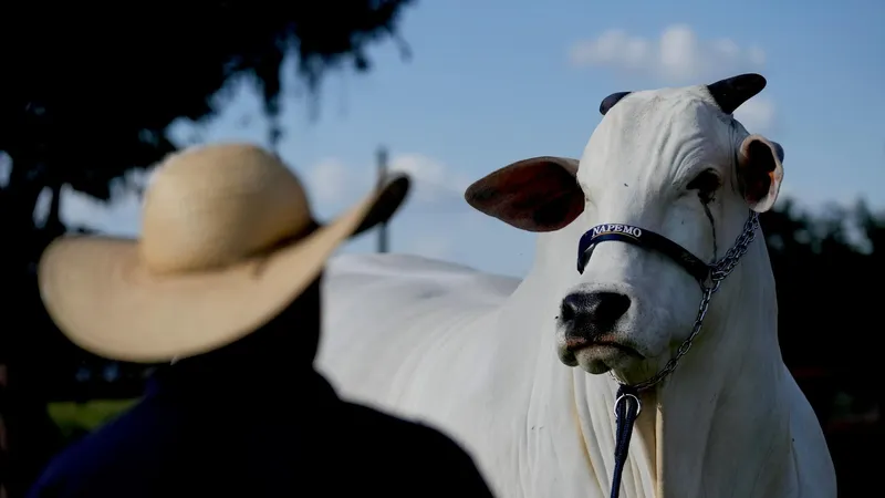 Medidas de la UE contra la carne de Brasil vuelven a poner trabas al acuerdo con el Mercosur