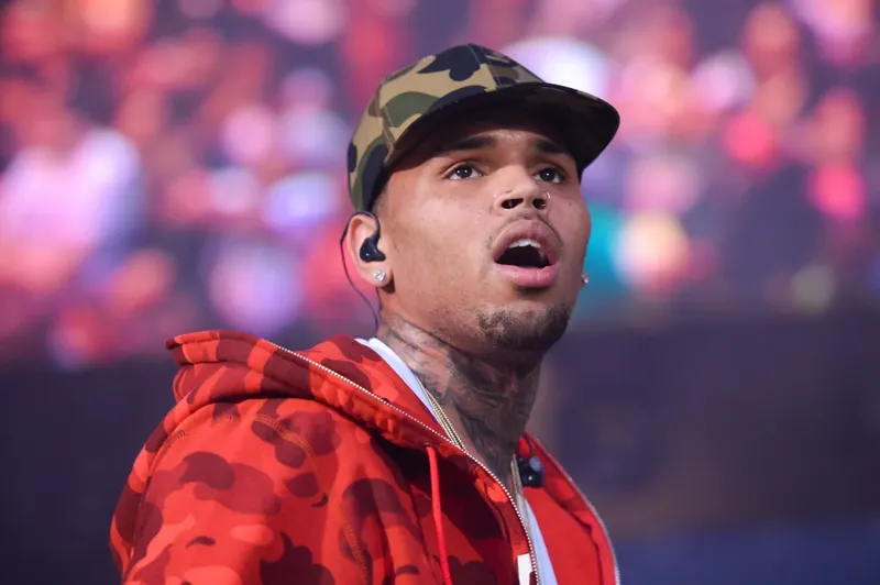 Chris Brown deberá pagar $13,000,000 de dólares por ataque de su perro a exempleada