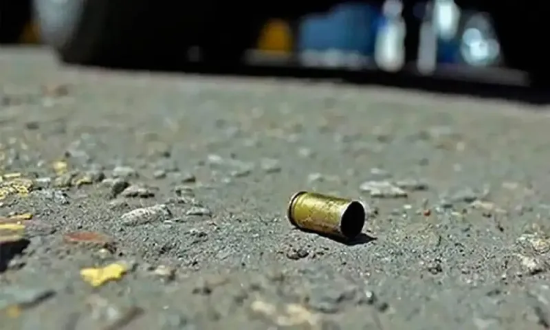 Desconocido acaba a plomazos con la vida de jinotegano