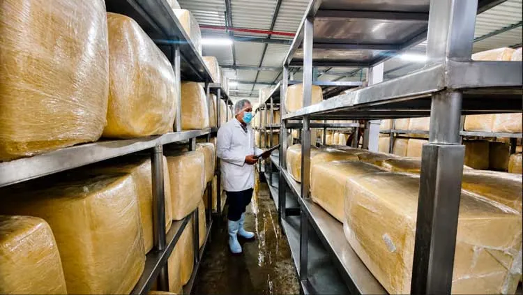 Más de 84 millones de libras de queso y cuajada producidas hasta junio