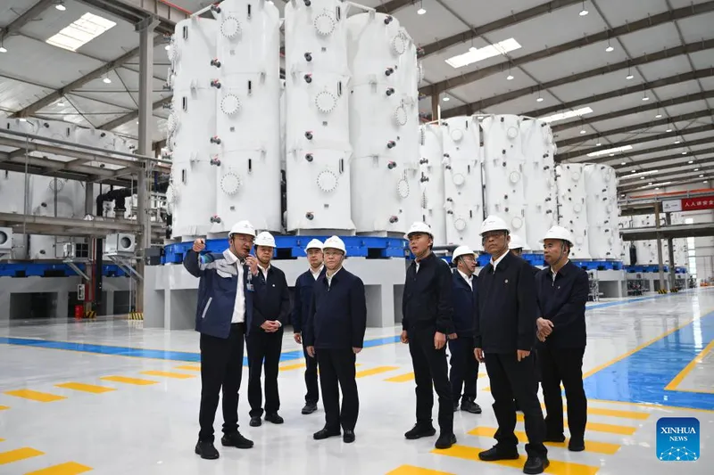 Vice primer ministro chino hace hincapié en desarrollo de bases industriales en lagos salados y en respuesta ante desastres naturales