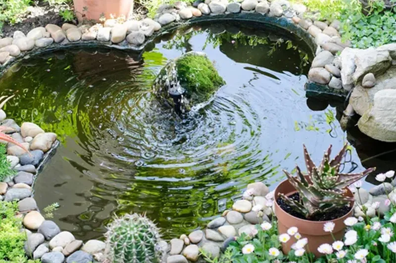 A los 14 años, una adolescente cavó un lago por un proyecto escolar y no imaginó que, 9 años después, los animales transformarían el lugar en un pequeño ecosistema