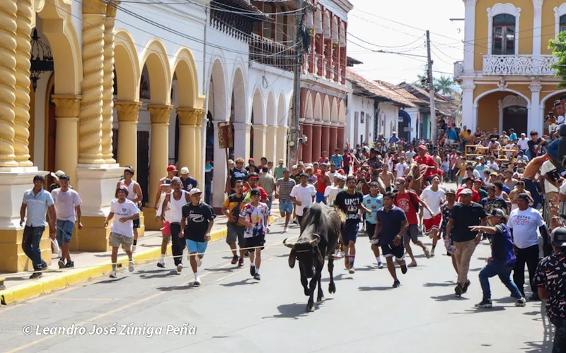 Granada es pura adrenalina y alegría con su tradicional tope de toros
